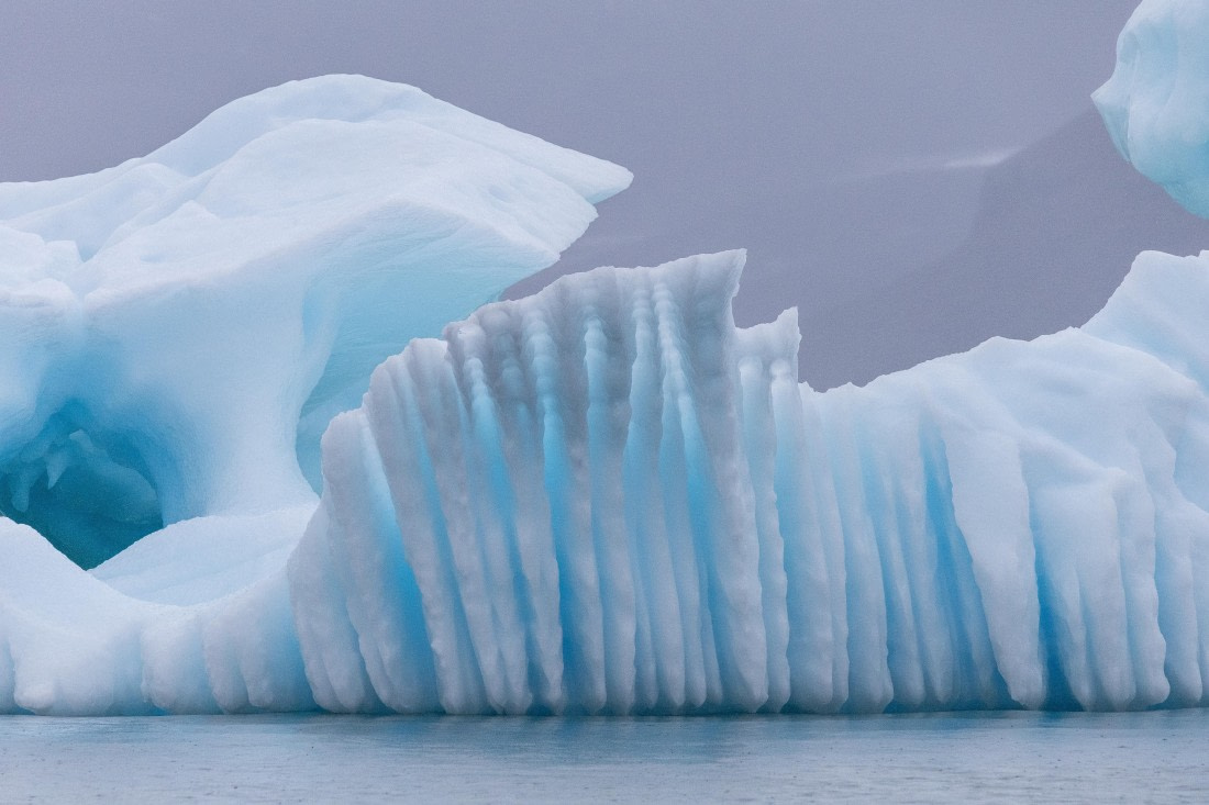 HDS12-25, Day 7,  5D5A6509.jpg © Unknown photographer - Oceanwide Expeditions.jpg