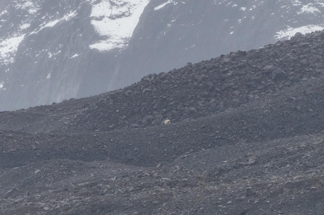 HDS12-25, Day 7,  5D5A6518.jpg © Unknown photographer - Oceanwide Expeditions.jpg