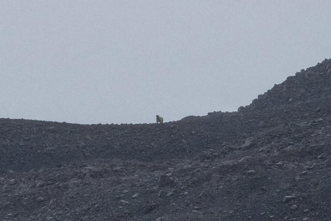 HDS12-25, Day 7,  5D5A6530.jpg © Unknown photographer - Oceanwide Expeditions.jpg