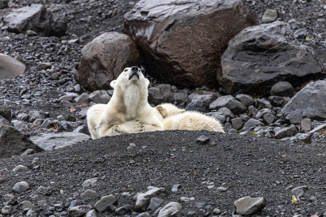 HDS12-25, Day 7,  5D5A6621.jpg © Unknown photographer - Oceanwide Expeditions.jpg