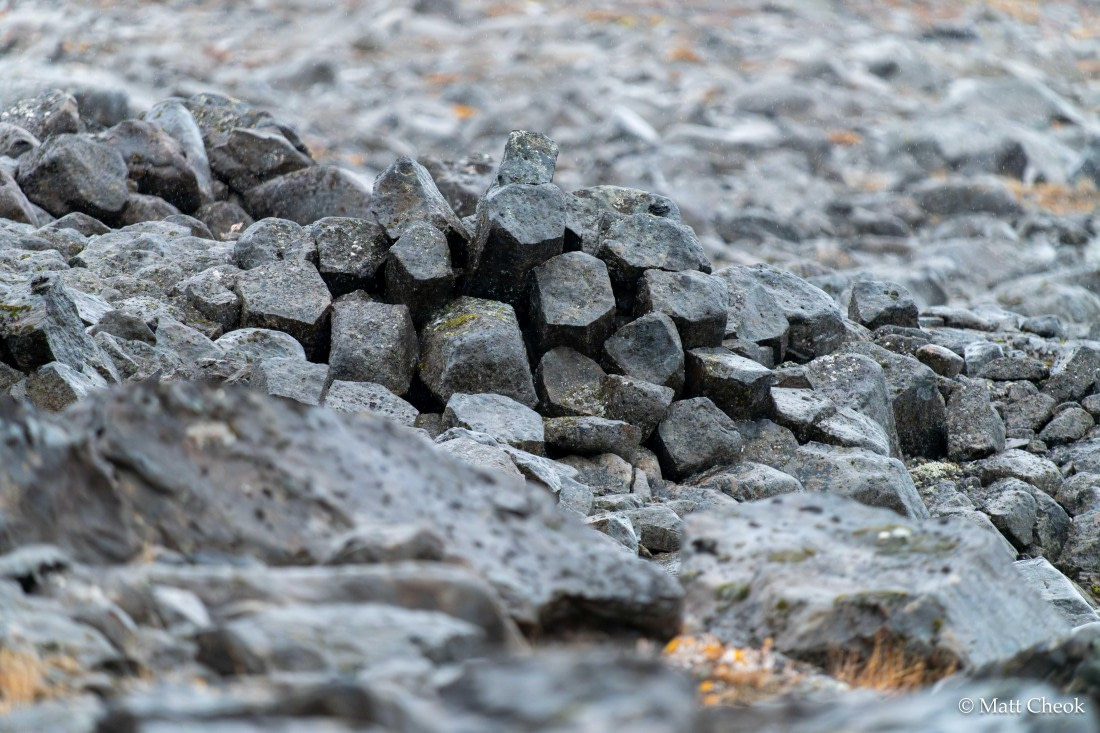 HDS12-25, Day 7,  Matt Cheok - Vikingebugt-3.jpg © Matt Cheok - Oceanwide Expeditions.jpg