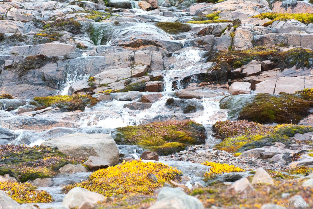 HDS12-25, Day 8,  _DSC7942 Hana.jpg © Hana Spickova - Oceanwide Expeditions.jpg