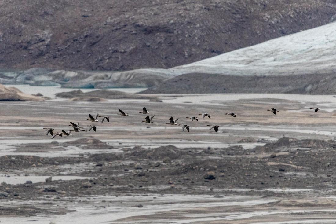 HDS12-25, Day 8,  5D5A6729.jpg © Unknown photographer - Oceanwide Expeditions.jpg