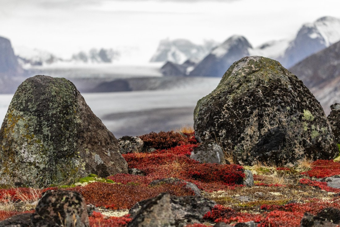 HDS12-25, Day 8,  5D5A6735.jpg © Unknown photographer - Oceanwide Expeditions.jpg