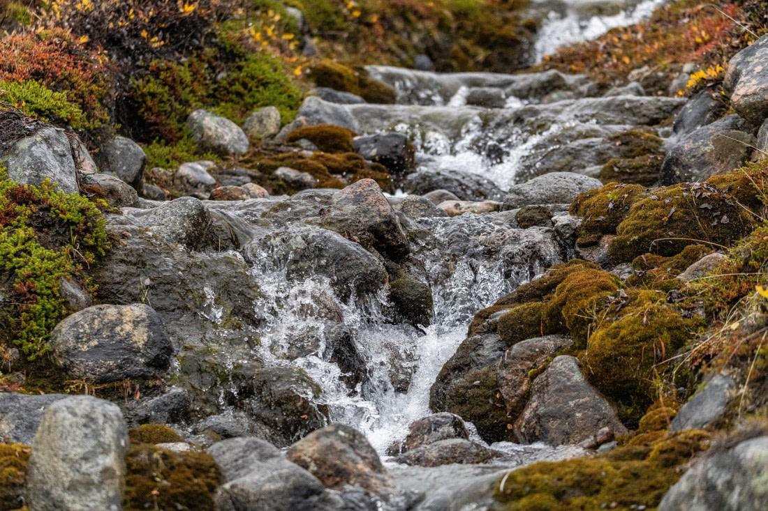 HDS12-25, Day 8,  5D5A6740.jpg © Unknown photographer - Oceanwide Expeditions.jpg