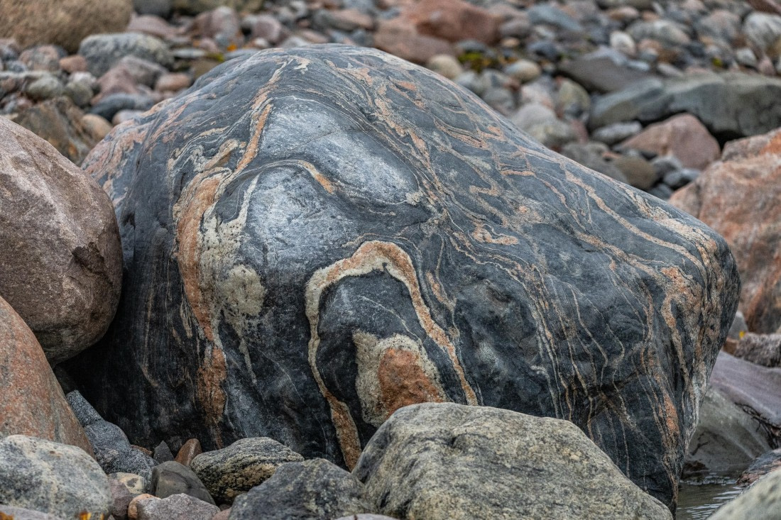 HDS12-25, Day 8,  5D5A6799.jpg © Unknown photographer - Oceanwide Expeditions.jpg