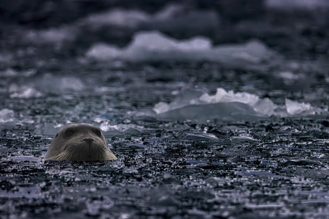 Is there anybody out there?