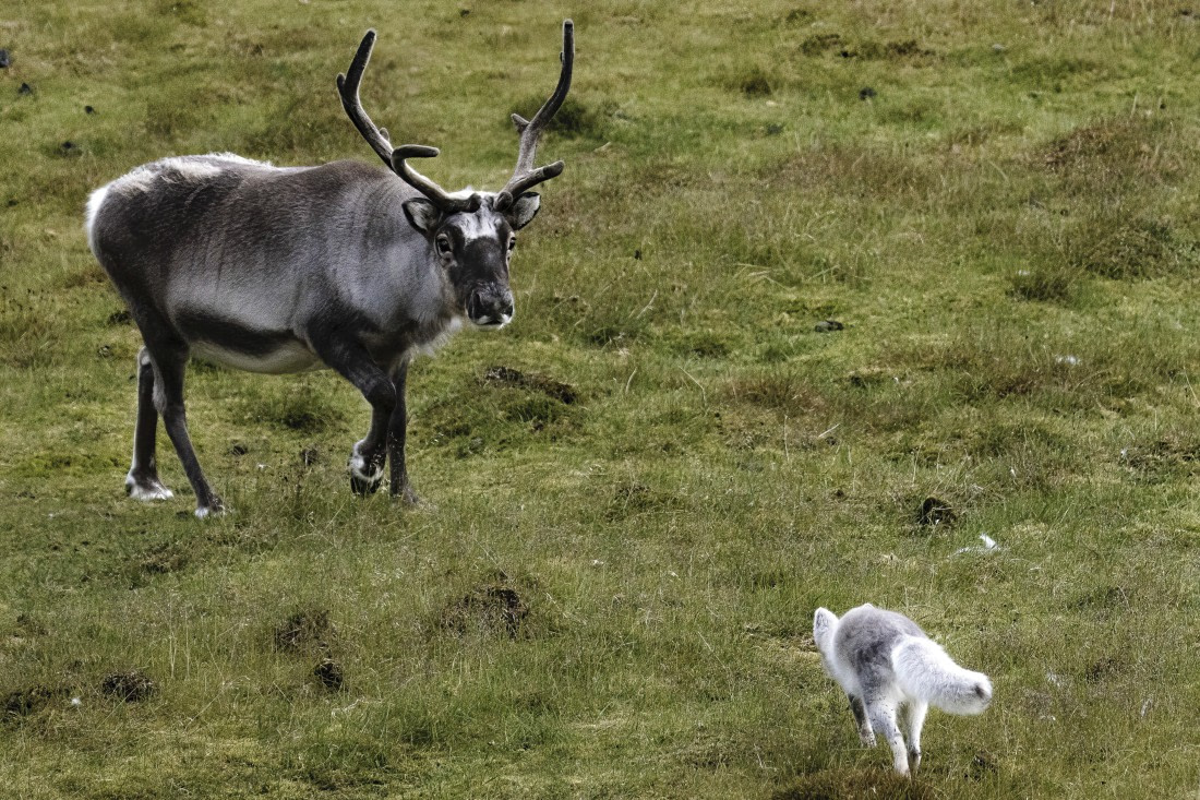Unexpected rendez-vous