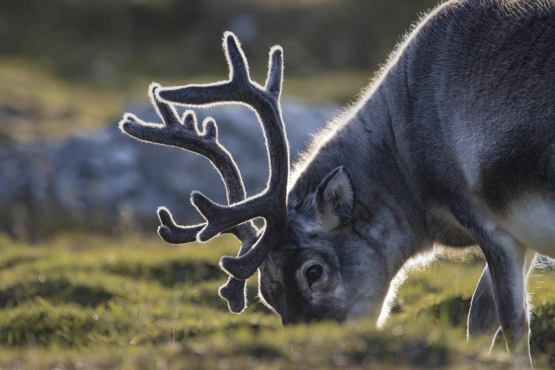 Still busy at the moment ...