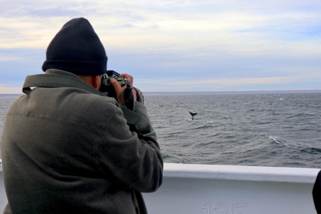 OTL21-25, Day 1, Picture4.jpg © Unknown photographer - Oceanwide Expeditions.jpg