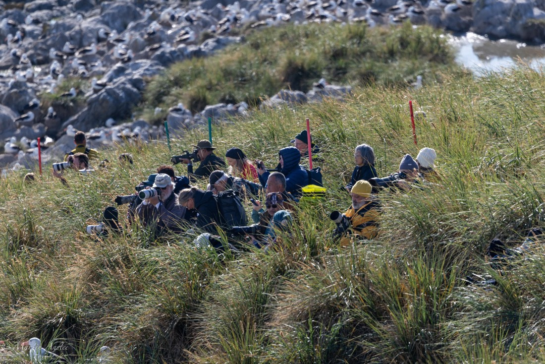 OTL21-25, Day 3, 0Q9A9268.jpg © Martin Anstee - Oceanwide Expeditions.jpg