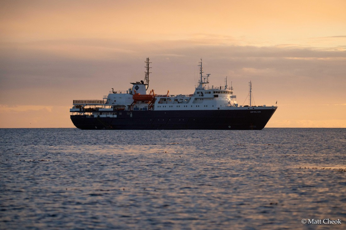 OTL21-25, Day 3, Matt Cheok - Day 3 - Steeple Jason-5.jpg © Matt Cheok - Oceanwide Expeditions.jpg