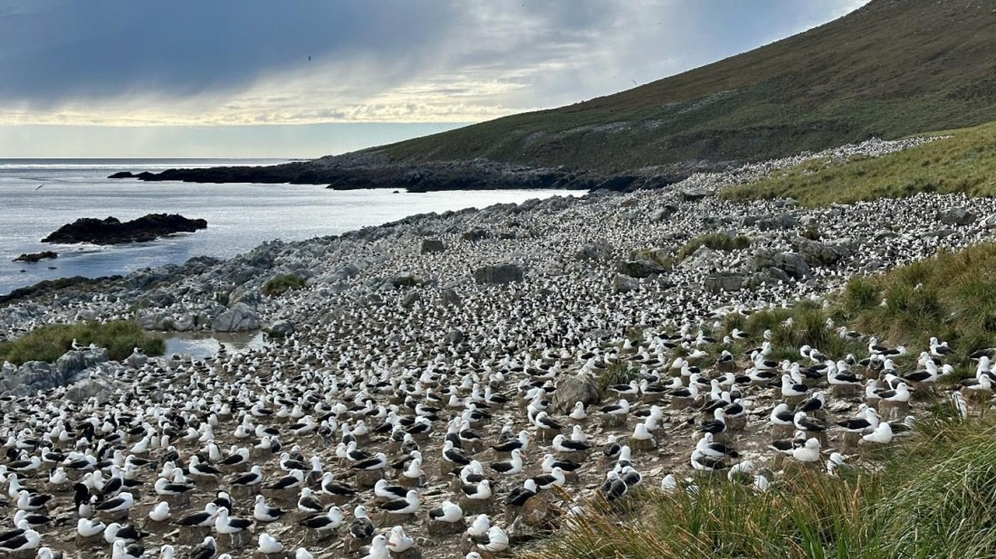 OTL21-25, Day 3, Picture10.jpg © Unknown photographer - Oceanwide Expeditions.jpg