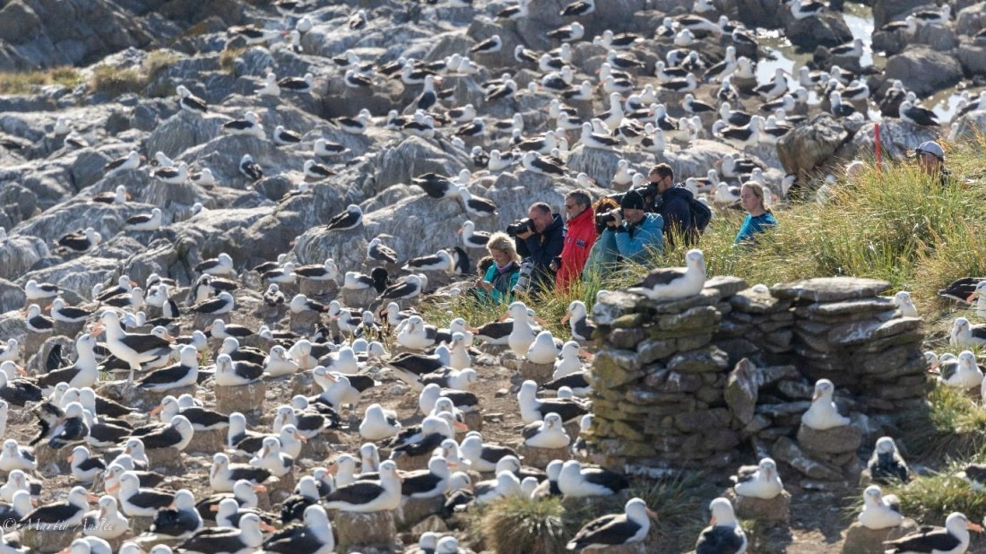 OTL21-25, Day 3, Picture11.jpg © Martin Anstee - Oceanwide Expeditions.jpg