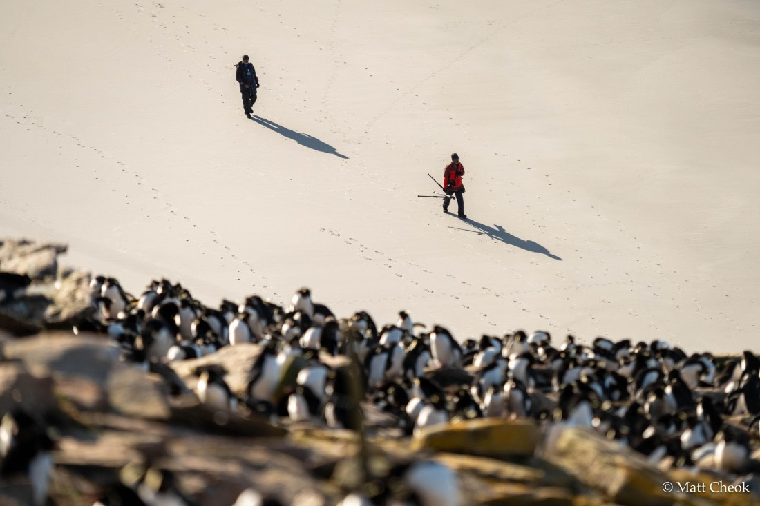 OTL21-25, Day 4, Matt Cheok - Day 4 - Saunders, Carcass-14.jpg © Matt Cheok - Oceanwide Expeditions.jpg