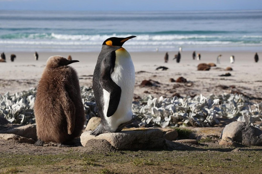 OTL21-25, Day 4, Picture16.jpg © Unknown photographer - Oceanwide Expeditions.jpg