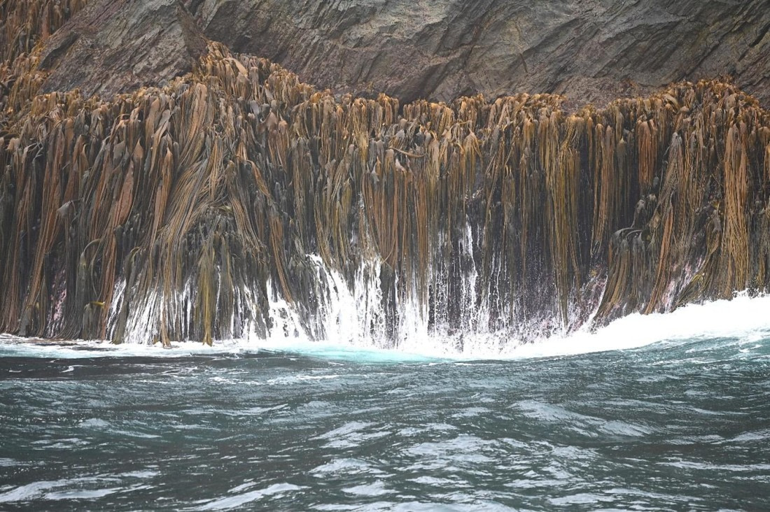 OTL21-25, Day 7, Picture25.jpg © Unknown photographer - Oceanwide Expeditions.jpg