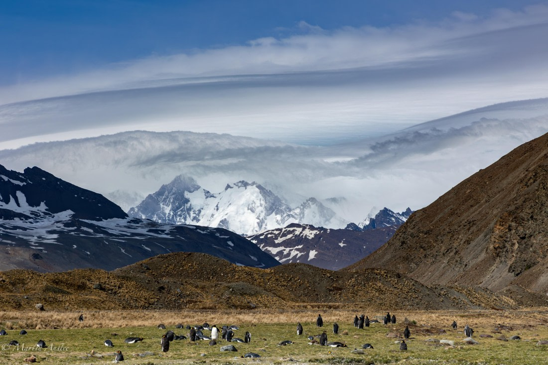 OTL21-25, Day 8, 095A5206.jpg © Martin Anstee - Oceanwide Expeditions.jpg