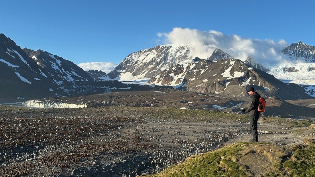 OTL21-25, Day 9, Guest at St. Andrew's Bay 1.jpeg © Allan White - Oceanwide Expeditions.jpeg