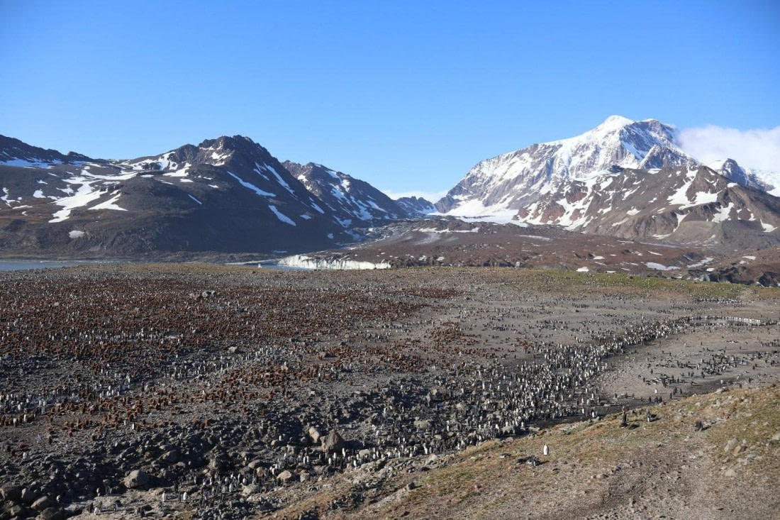 OTL21-25, Day 9, Picture31.jpg © Unknown photographer - Oceanwide Expeditions.jpg