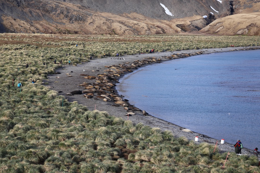 OTL21-25, Day 10, IMG_4758.JPG © Beth Hitchcock - Oceanwide Expeditions.JPG