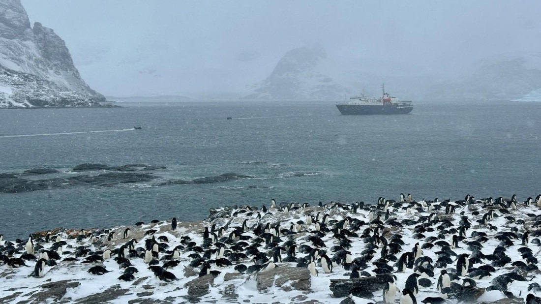 OTL21-25, Day 13, Picture45.jpg © Unknown photographer - Oceanwide Expeditions.jpg