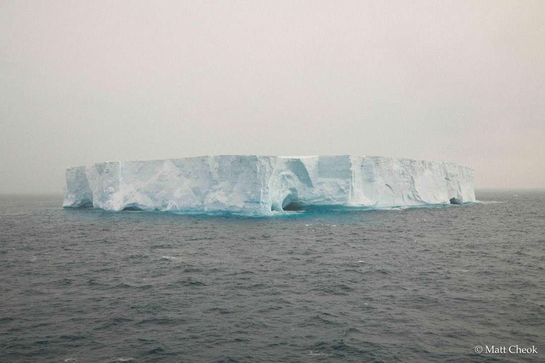 OTL21-25, Day 13, Matt Cheok - 3 November 2025 - South Orkneys-5.jpg © Matt Cheok - Oceanwide Expeditions.jpg