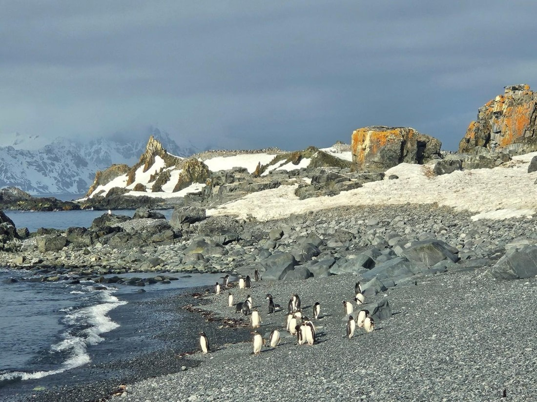 OTL21-25, Day 18, Picture63.jpg © Unknown photographer - Oceanwide Expeditions.jpg