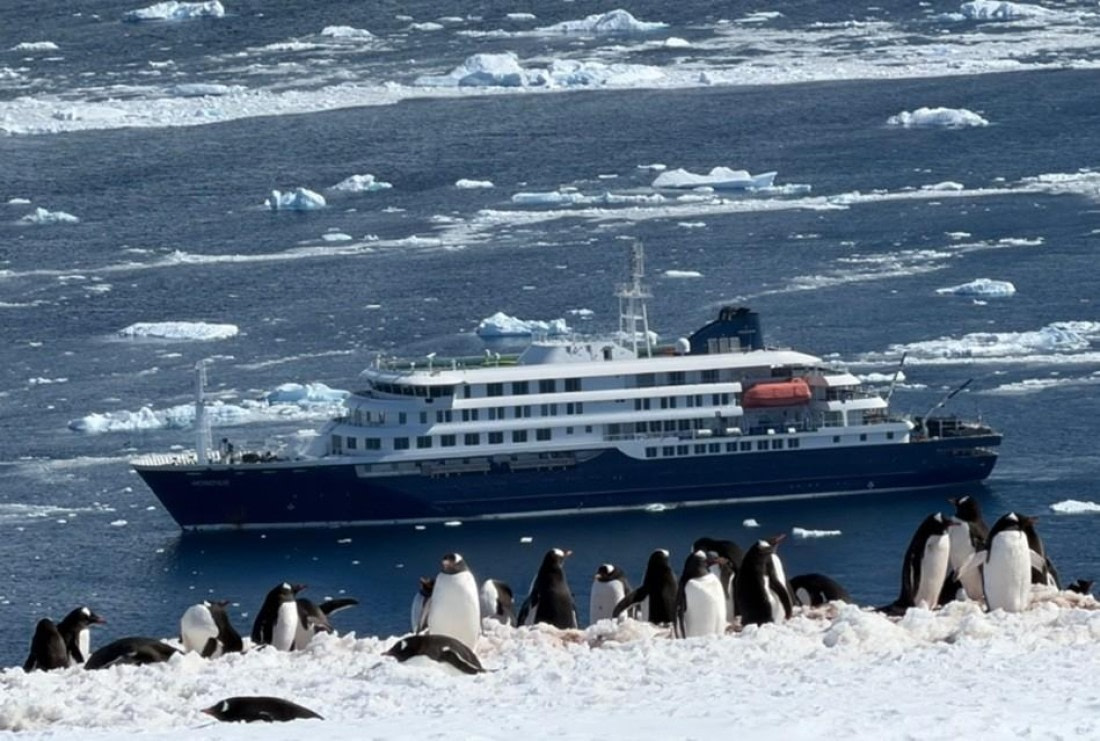 HDS22-25, Day 5, Neko Harbour 1 © Unknown photographer - Oceanwide Expeditions.jpg
