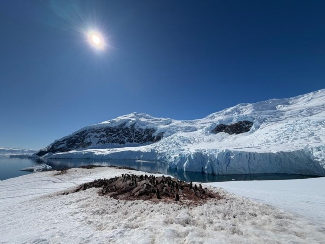 HDS22-25, Day 5, Neko Harbour 2 © Unknown photographer - Oceanwide Expeditions.jpg