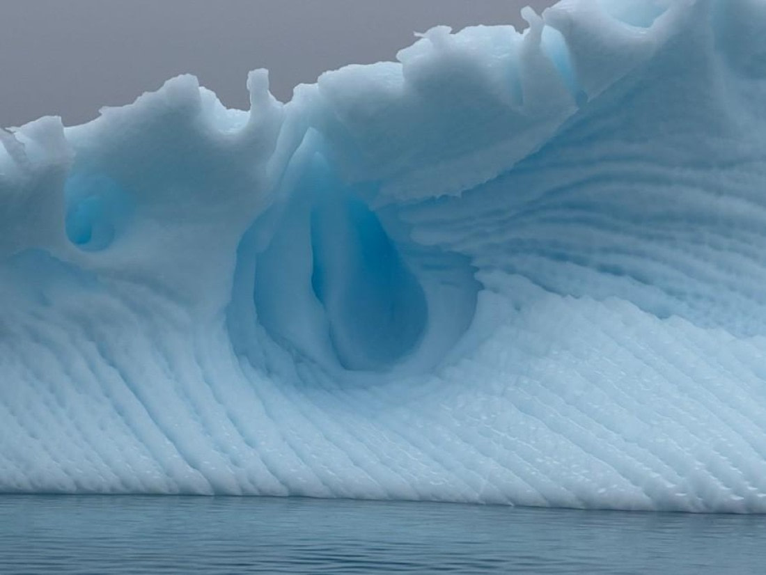 HDS22-25, Day 6, Ice © Unknown photographer - Oceanwide Expeditions.jpg