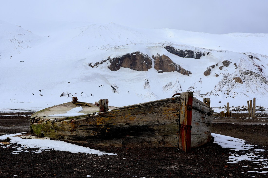 OTL22-25, Day 3, IMG_5282.JPG © Beth Hitchcock - Oceanwide Expeditions.JPG