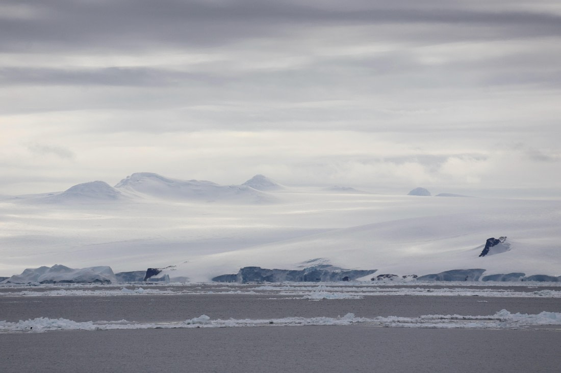 OTL22-25, Day 4, IMG_5332.JPG © Beth Hitchcock - Oceanwide Expeditions.JPG