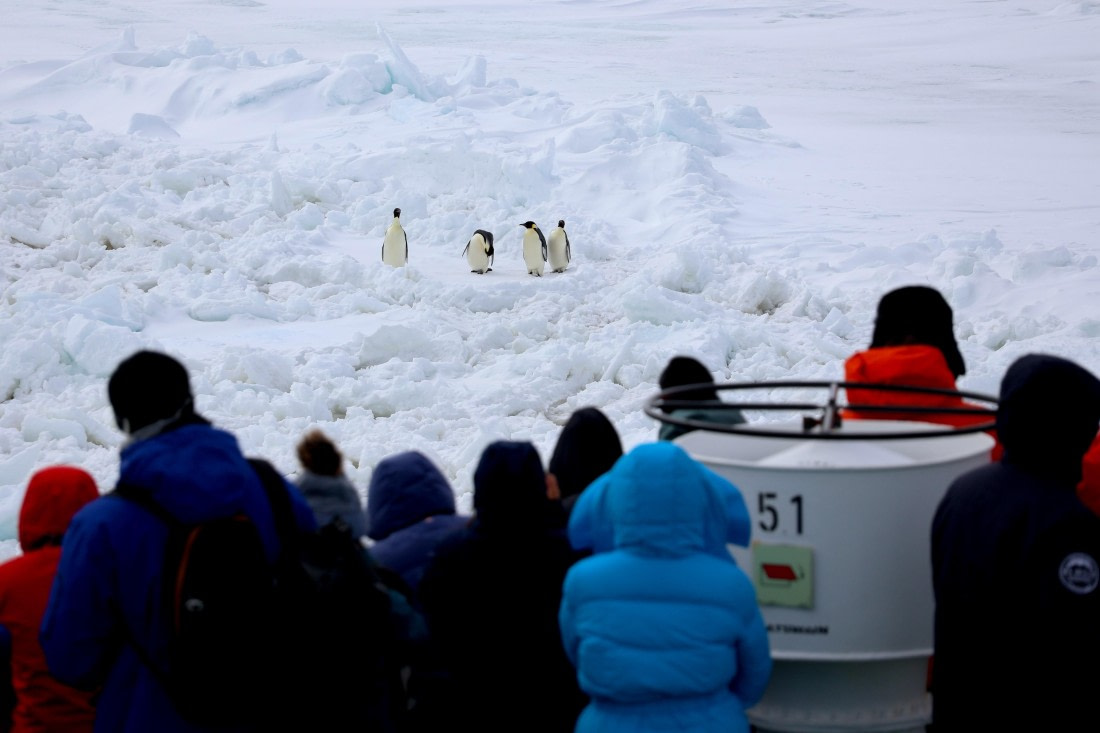 OTL22-25, Day 4, IMG_5362.JPG © Beth Hitchcock - Oceanwide Expeditions.JPG