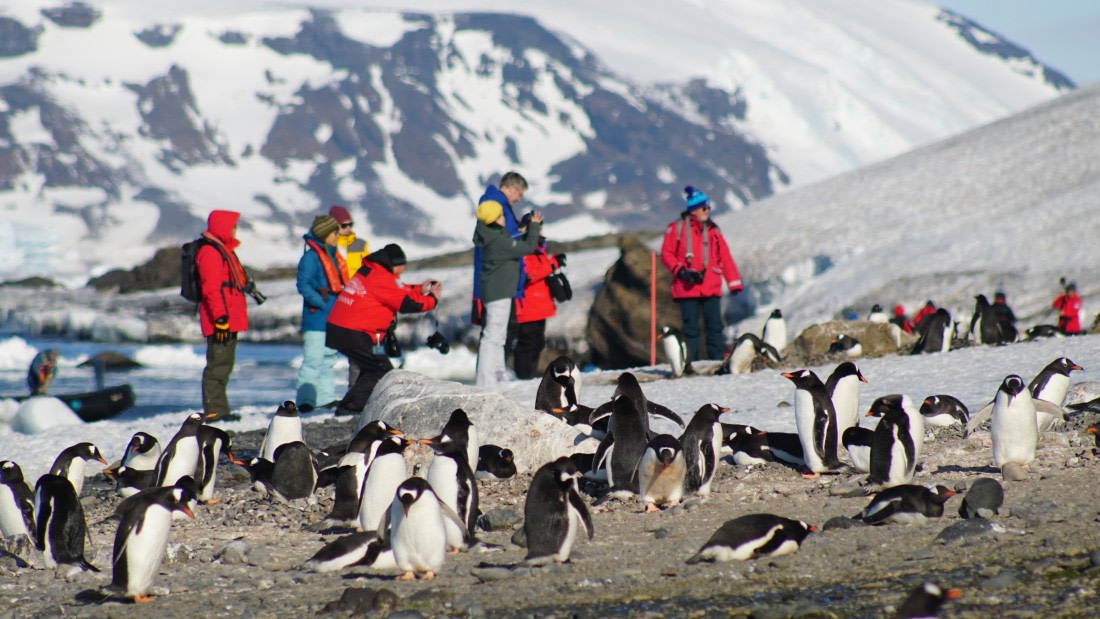 OTL22-25, Day 5, DSC00168.JPG © Jess Owen - Oceanwide Expeditions.JPG