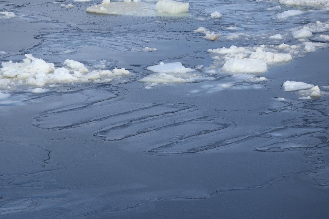 OTL22-25, Day 5, IMG_5460.JPG © Beth Hitchcock - Oceanwide Expeditions.JPG