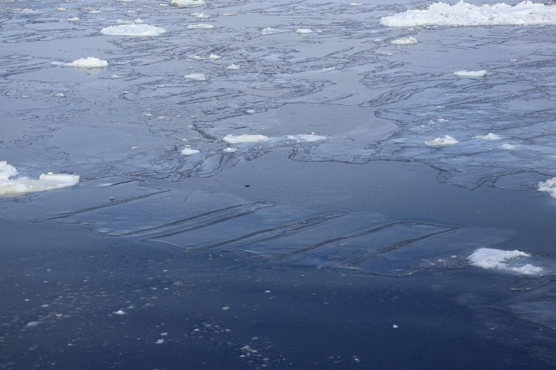 OTL22-25, Day 5, IMG_5461.JPG © Beth Hitchcock - Oceanwide Expeditions.JPG