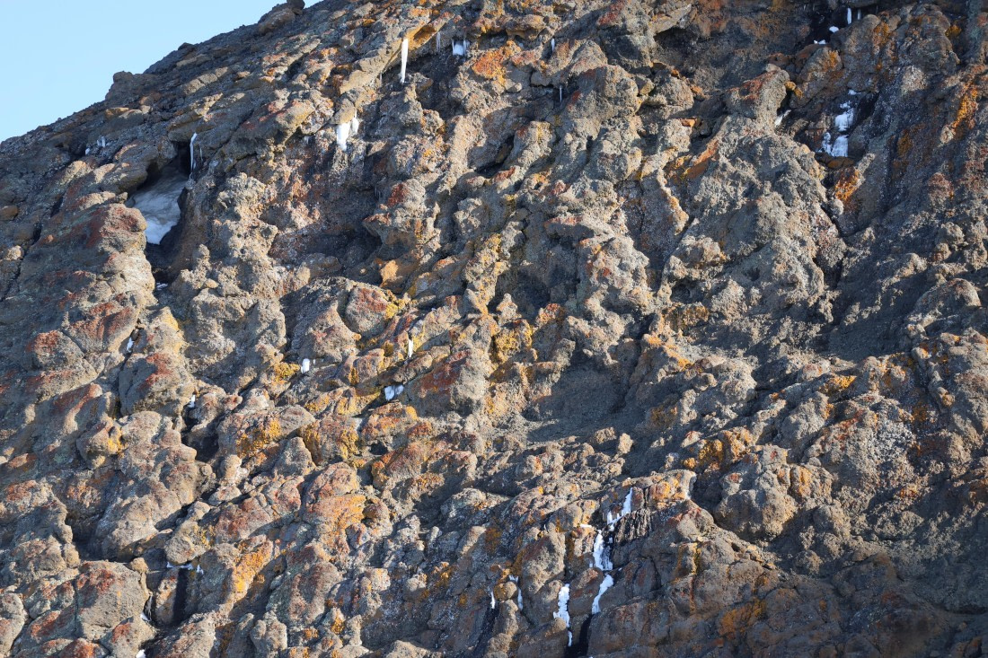 OTL22-25, Day 5, IMG_5467.JPG © Beth Hitchcock - Oceanwide Expeditions.JPG