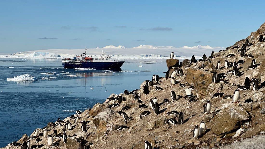 OTL22-25, Day 5, IMG_6840.jpeg © Allan White - Oceanwide Expeditions.jpeg