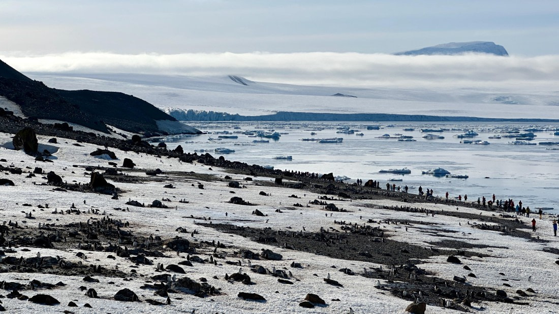 OTL22-25, Day 5, IMG_6842.jpeg © Allan White - Oceanwide Expeditions.jpeg
