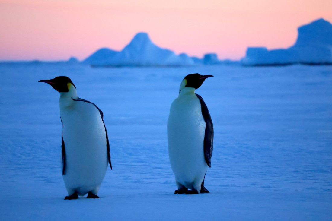 OTL22-25, Day 6, IMG_5563.JPG © Beth Hitchcock - Oceanwide Expeditions.JPG