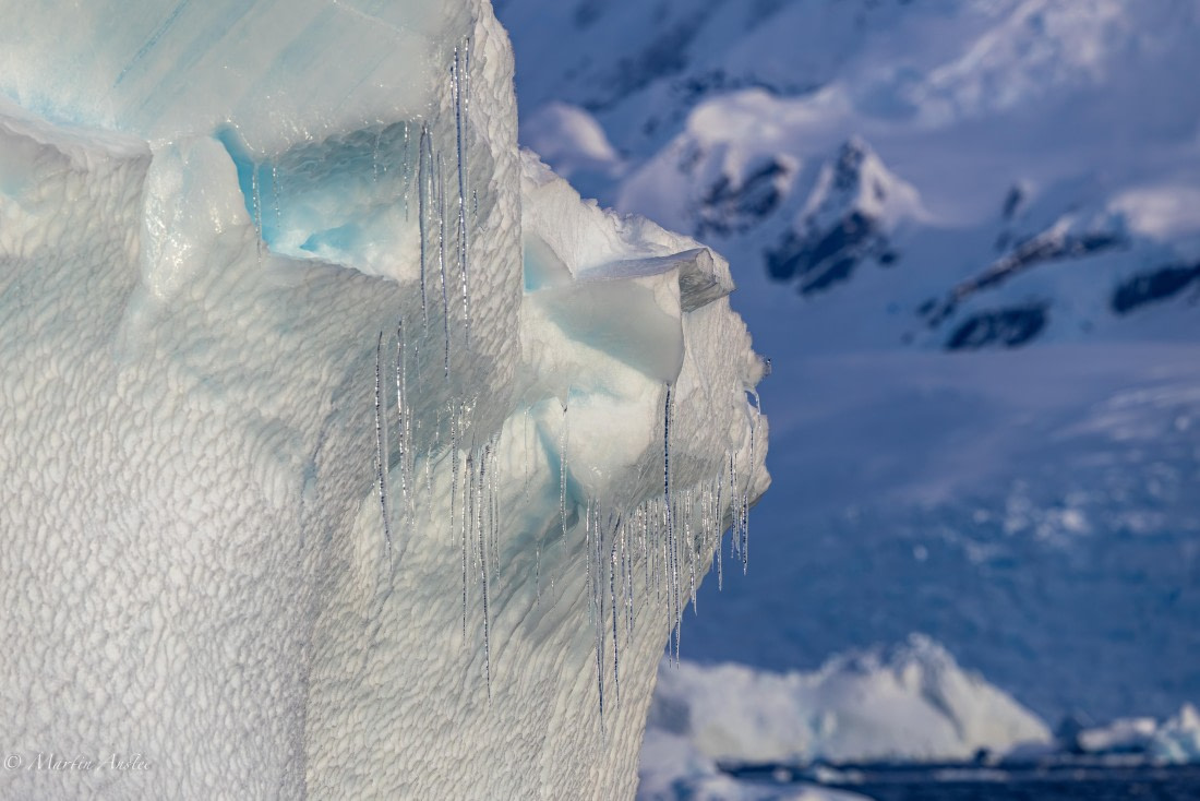 OTL22-25, Day 7, 0Q9A4841.jpg © Martin Anstee - Oceanwide Expeditions.jpg