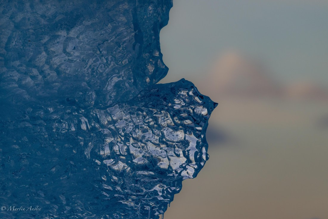 OTL22-25, Day 7, 0Q9A4856.jpg © Martin Anstee - Oceanwide Expeditions.jpg