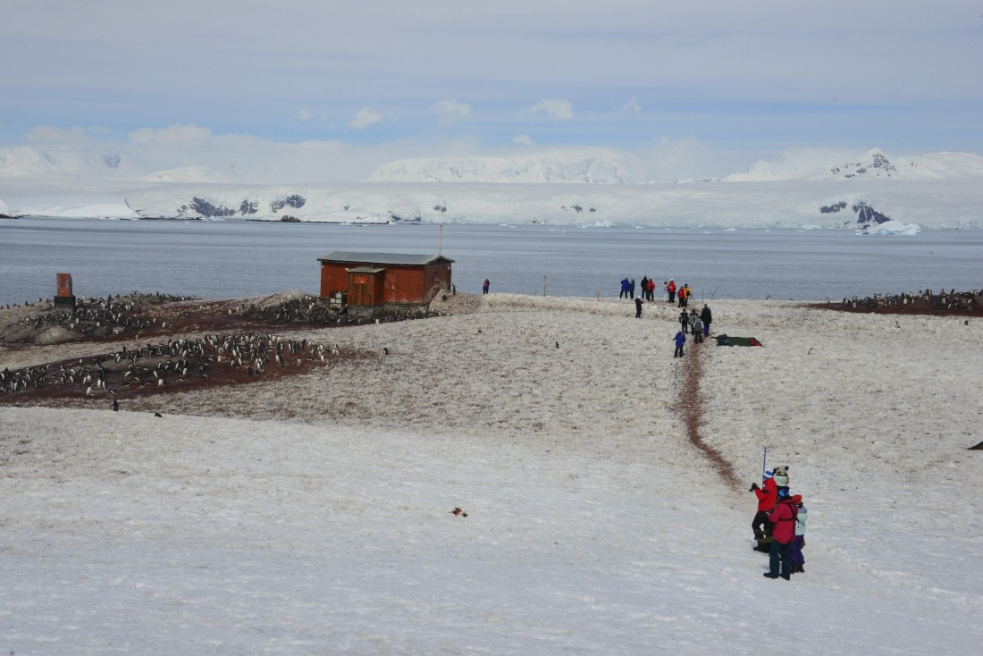 OTL22-25, Day 7, 17Nov2025-Gary Miller-Mikkelson Harbour.JPG © Gary Miller - Oceanwide Expeditions.JPG