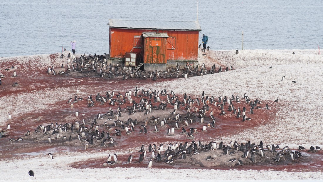 OTL22-25, Day 7, DSC00357.JPG © Jess Owen - Oceanwide Expeditions.JPG