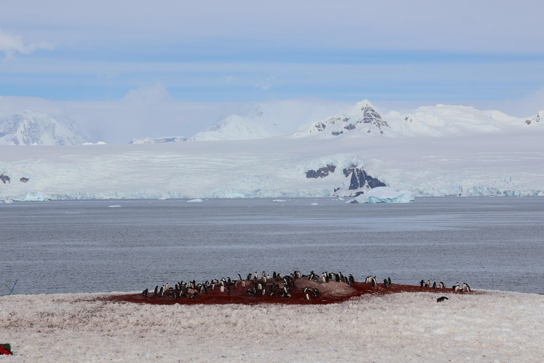 OTL22-25, Day 7, IMG_5593.JPG © Beth Hitchcock - Oceanwide Expeditions.JPG