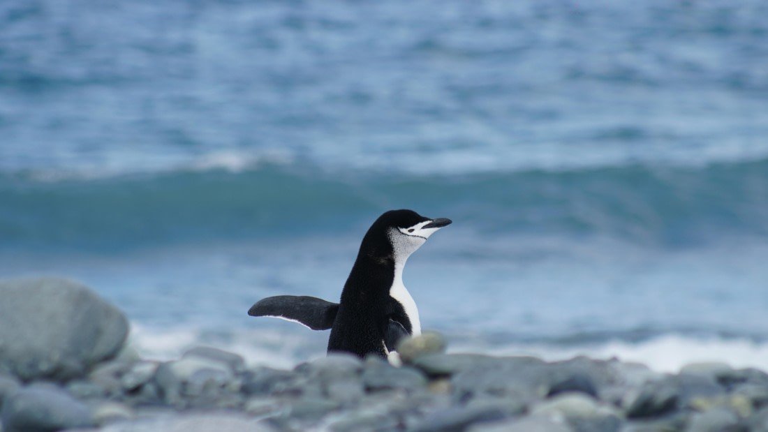 OTL22-25, Day 8, DSC00372.JPG © Jess Owen - Oceanwide Expeditions.JPG