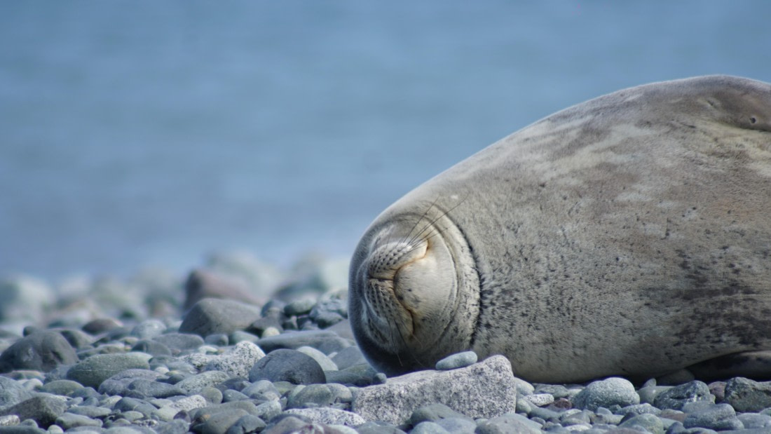 OTL22-25, Day 8, DSC00410.JPG © Jess Owen - Oceanwide Expeditions.JPG