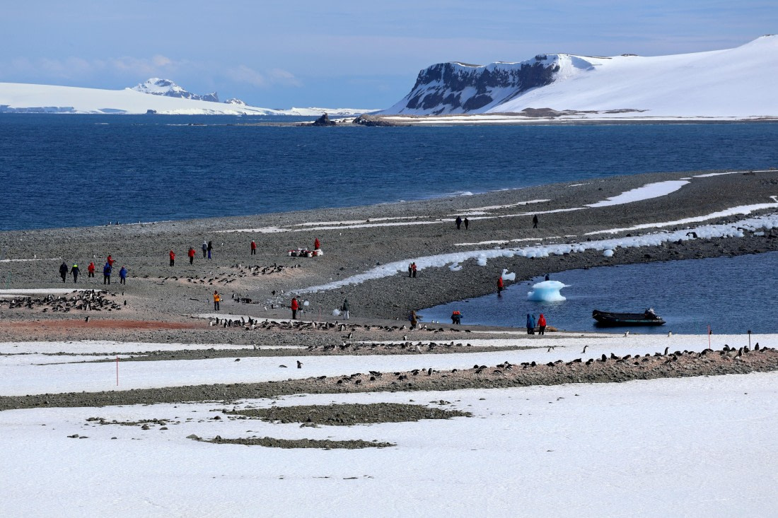 OTL22-25, Day 8, IMG_5634.JPG © Beth Hitchcock - Oceanwide Expeditions.JPG