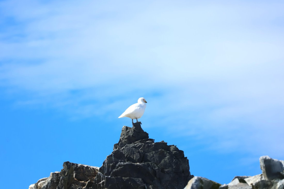 OTL22-25, Day 8, IMG_5681.JPG © Beth Hitchcock - Oceanwide Expeditions.JPG